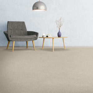 Soft comfortable carpet | Carpets Of Dalton