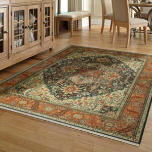 Karastan area rug | Carpets Of Dalton