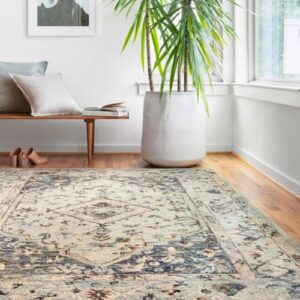 Loloi-rug | Carpets Of Dalton