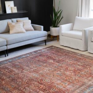 Loloi-rug | Carpets Of Dalton