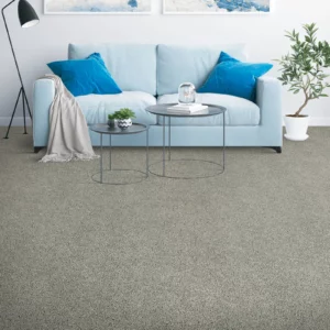 Living Area Carpet Flooring | Carpets of Dalton
