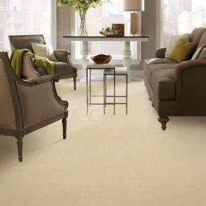 Living Room Carpet Flooring | Carpets of Dalton