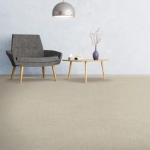 Soft Comfortable Carpet Flooring | Carpets of Dalton