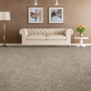 Soft Carpet Flooring | Carpets of Dalton
