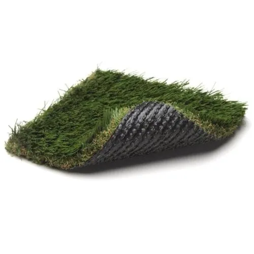 Turf Resilience | Carpets of Dalton