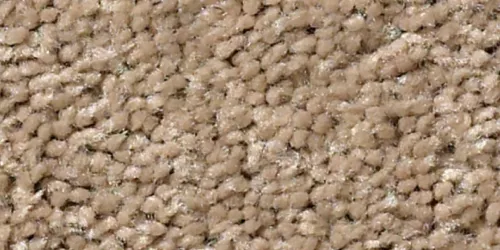 EarthTone Earth Tone Carpet | Carpets of Dalton