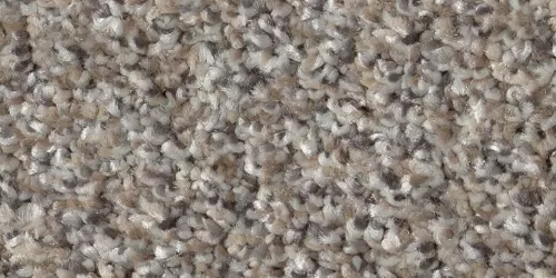 Texture Textured Carpet | Carpets of Dalton