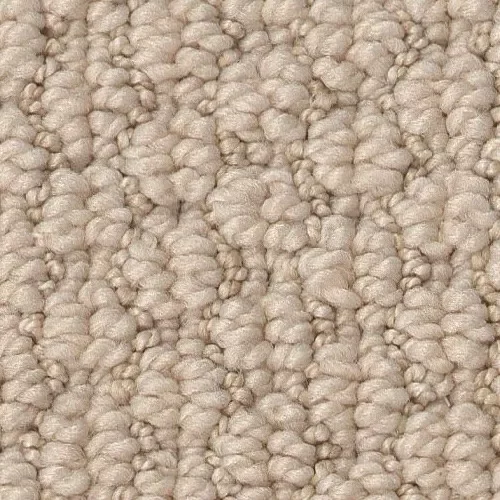 Anderson Tuftex Carpet Swatch | Carpets of Dalton