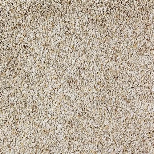 Carpet Swatch | Carpets of Dalton